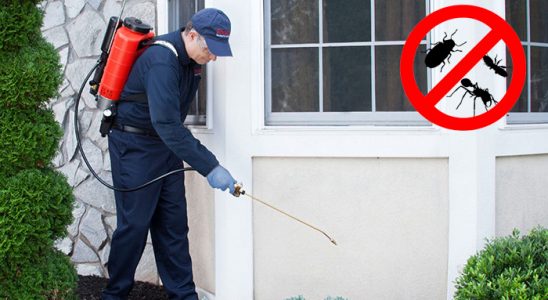 Dernekpazarı Akrep İlaçlama böcek ilaçlama ve haşere kontrolü — ilaclama-tr.com
